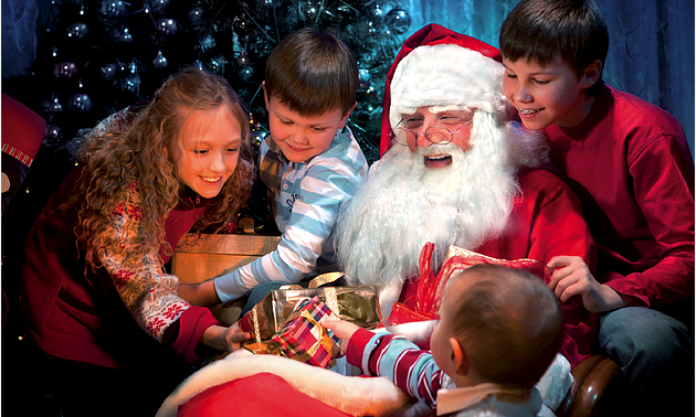 Natale In Famiglia Studio Dottoressa Stefania Puglisi